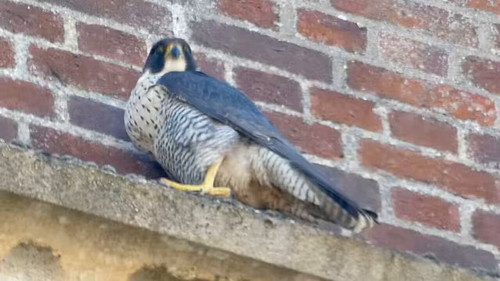 k Nwklc u14Wf4U0.jpg