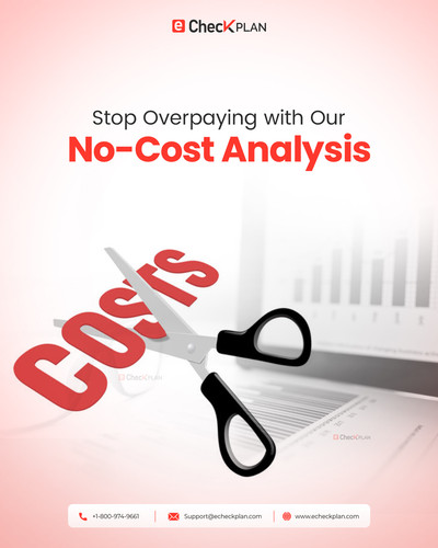 No cost analysis echeckplan..jpg