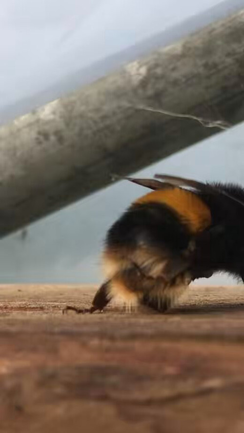 ULq8ZYiqJ jnje28.jpg