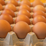 couleur eggs 10168803 1280(1)