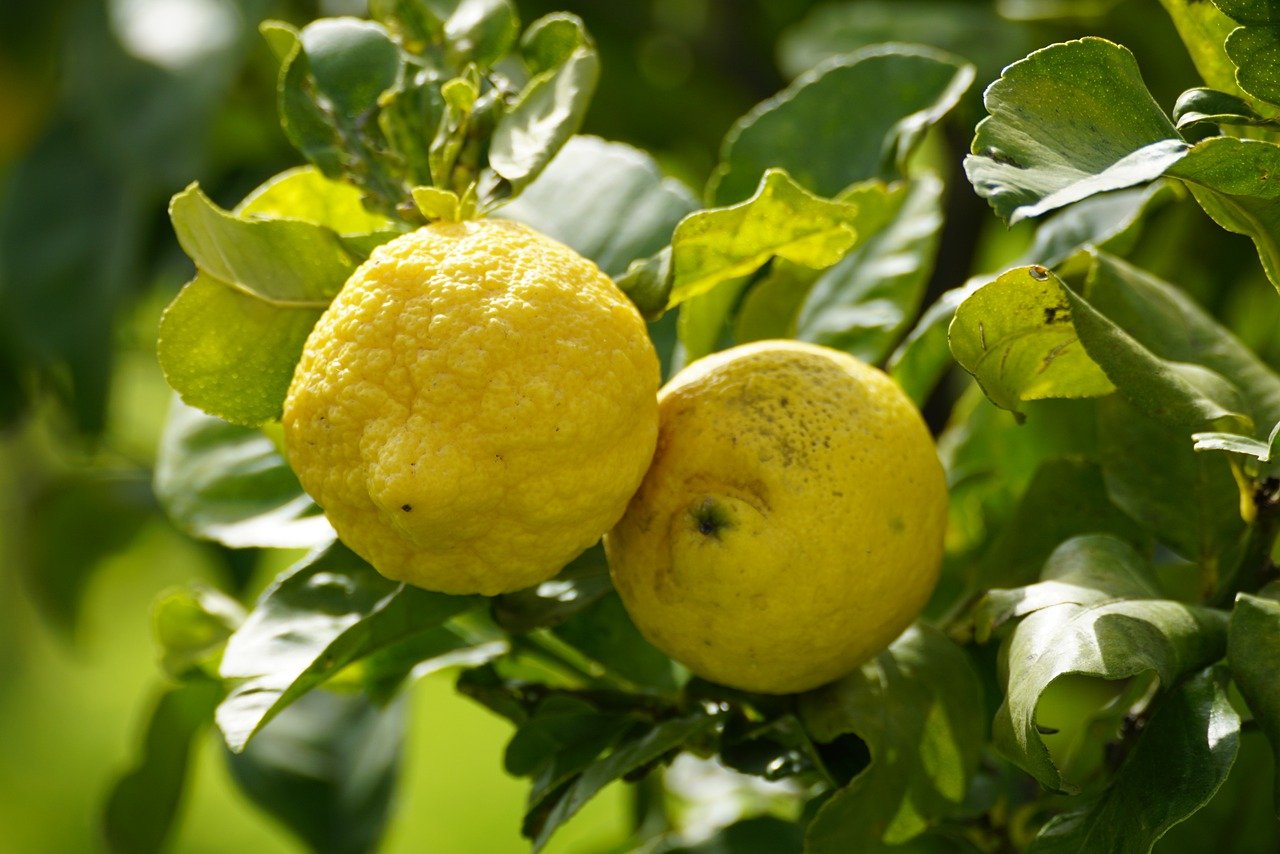 [Resim: BcUgbhG.jpg]