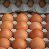 couleur eggs 10168806 1280