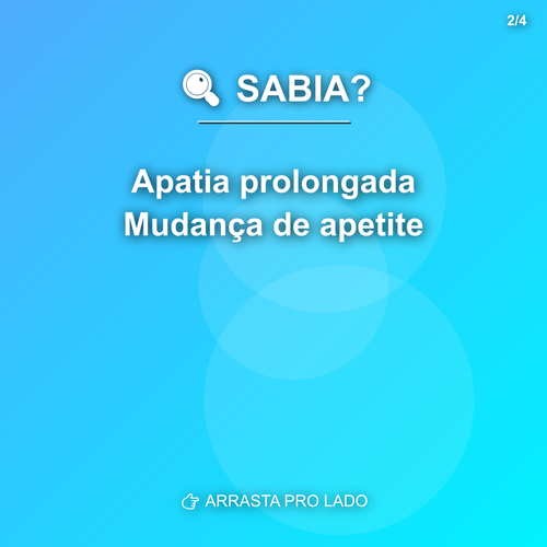 carousel 1775674810547 slide2.png