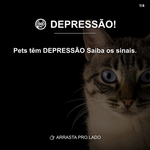 carousel 1775674810309 slide1.png