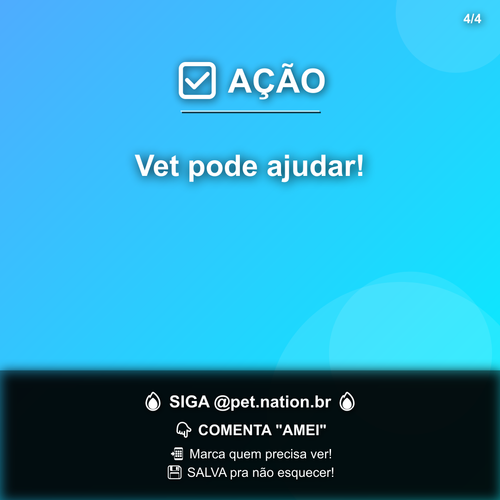 carousel 1775674810828 slide4.png