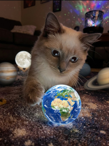 ol7v04sffztg1 copy.jpg