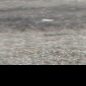 NVIDIA Overlay kKLvEwT0CI.png