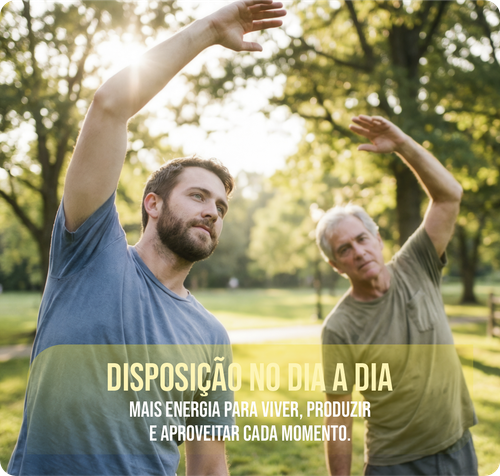 DISPOSIÇÃO NO DIA A DIA.png