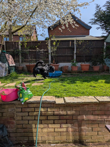 HFYSjjOXQAADiS ?format=jpg.jpg