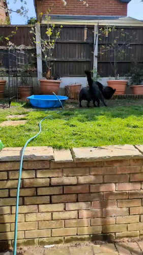 xzdYbYwMOa OwkwH.jpg