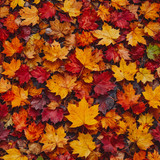 ipicture ai generated 9079934 1280