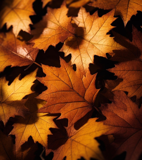 ipicture fall 9006493 1280.jpg