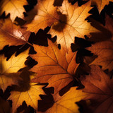 ipicture fall 9006493 1280