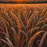 ipicture ai generated 9032684 1280