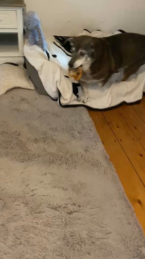 Y41siH0 luvvsM38.jpg