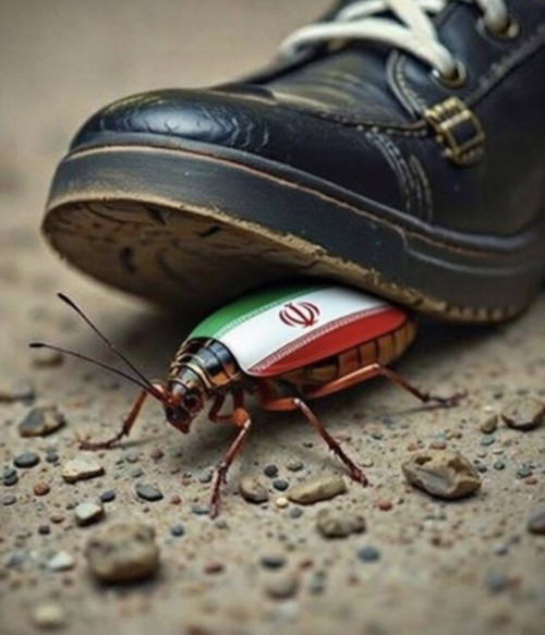 HFZzU 7a8AMaRY2?format=jpg.jpg