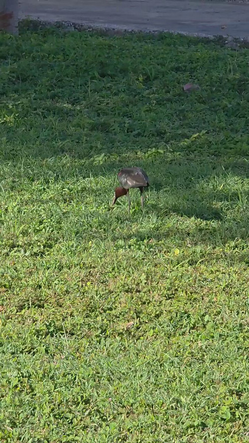 I 2lNuYAJf9mPXBA.jpg