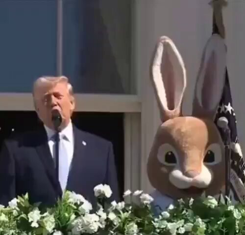 evU1pd HqpiQaE2v.jpg