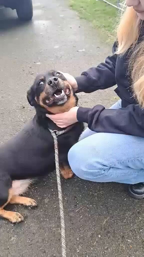 K91S7lneebBXH Gp.jpg