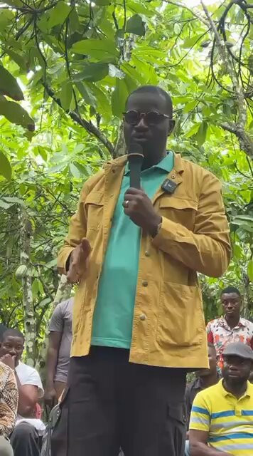 v bNfun70MsokiqT.jpg