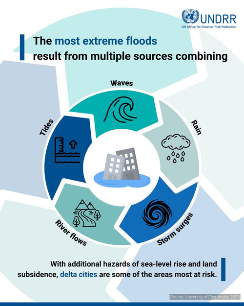 HFZ6w1lWcAE OcN?format=jpg.jpg