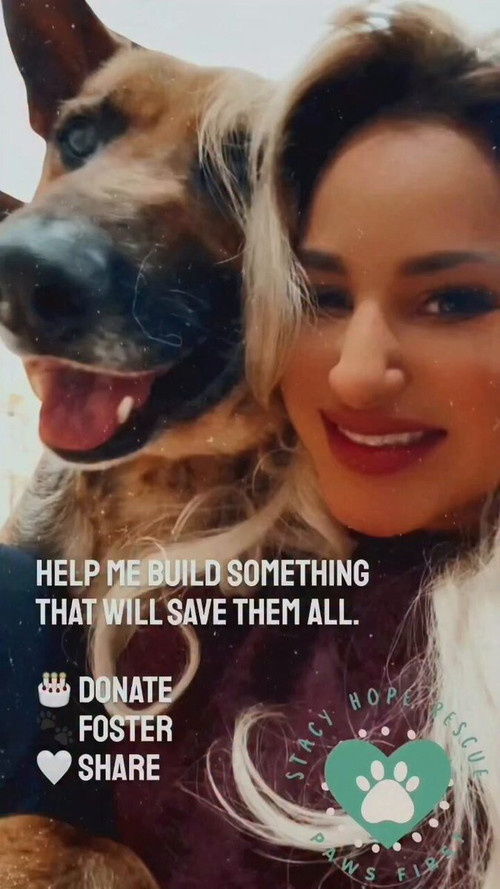 pz 5T75y9q1gvdas.jpg