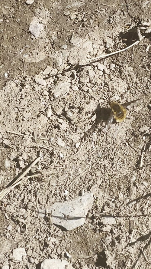 mm VsnlwfnFePFQy.jpg