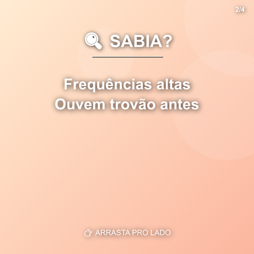 carousel 1775671202363 slide2.png