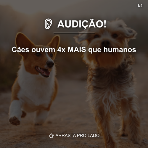 carousel 1775671201988 slide1.png