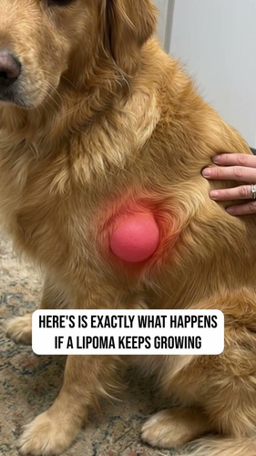 lumiquor video2 2s.jpg