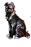 395abd18f26b8c34.png