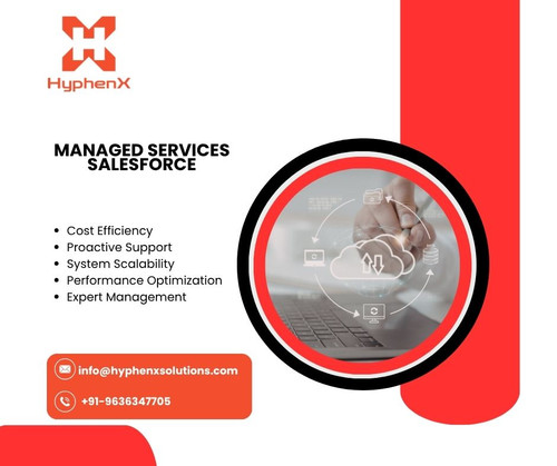 Managed Services Salesforce .jpg