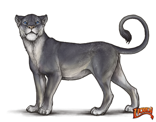 lioden wardrobe (4).png