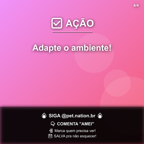 carousel 1775667602337 slide4.png