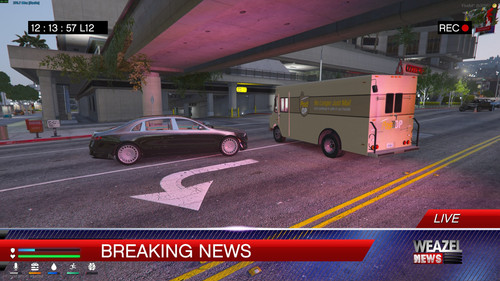 FiveM GTAProcess SDR090Zyjg.jpg