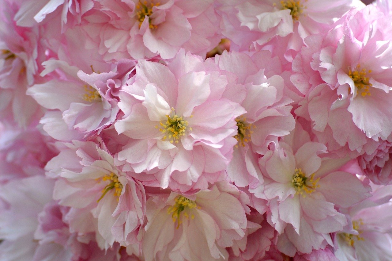 [Resim: Bcv7cru.jpg]