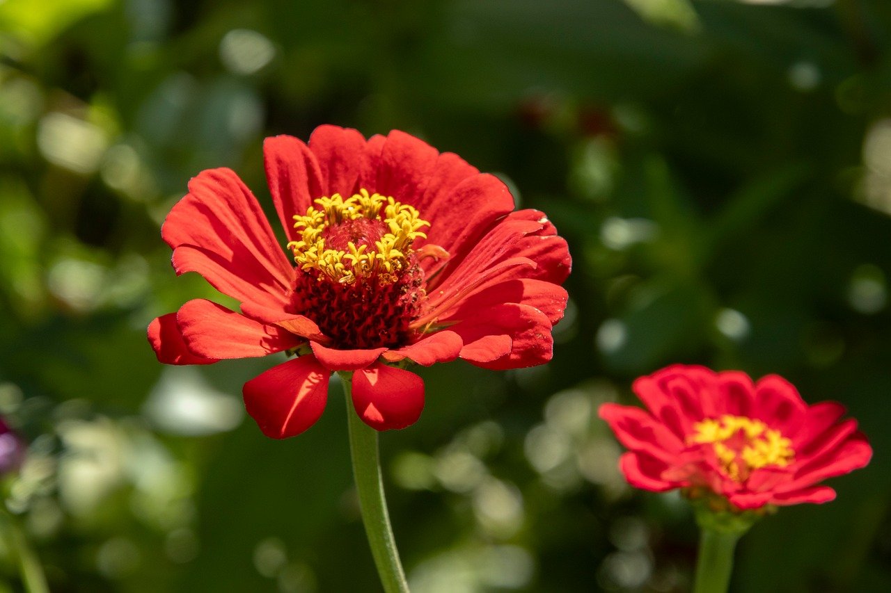 [Resim: BcvRCQt.jpg]