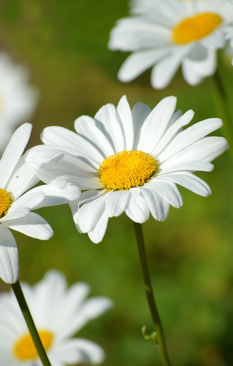 [Resim: BcvYxG1.jpg]