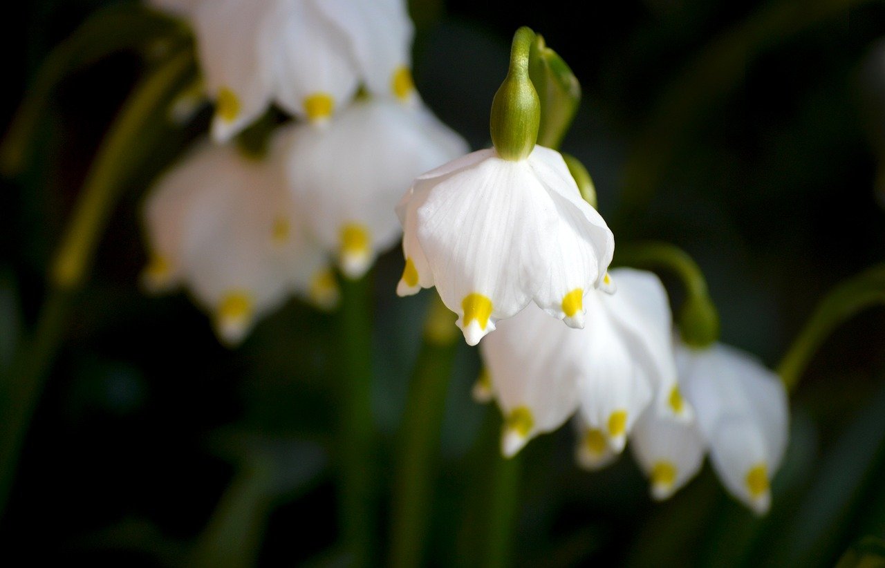 [Resim: Bcva0DQ.jpg]