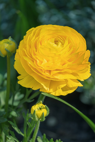 couleur yellow 10186703 1920.jpg