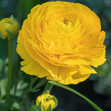 couleur yellow 10186703 1920