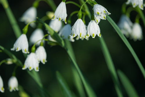 couleur nature 10192436 1280.jpg