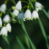 couleur nature 10192436 1280