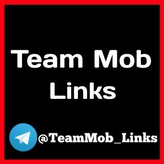 photo 2026 04 08 18 46 25 7626470442781376544.jpg