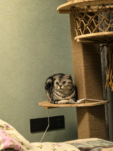 IMG 20260408 225950.jpg