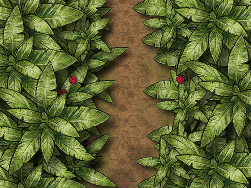 arid forest 2nd map.png