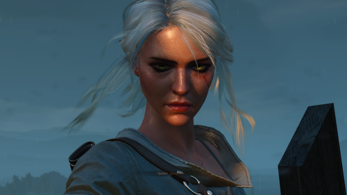 the witcher 3 wild hunt 44901282325 o.png