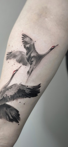 Screenshot 20260330 091345 Instagram.jpg