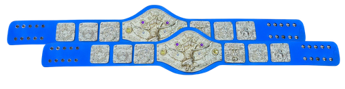 Intl Tag Team 044 (1).png