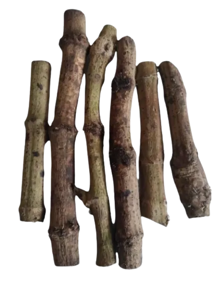 chui jhal 250 gm?src=https%3A%2F%2Feggyolk.chaldal.webp